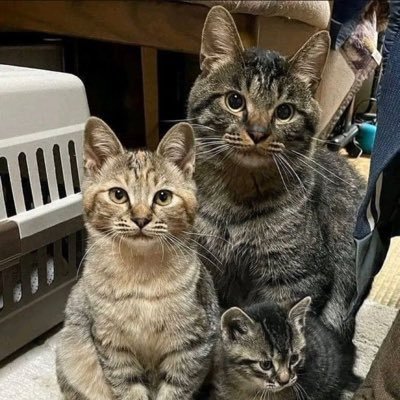 風俗体験レポーターのRRｌさん